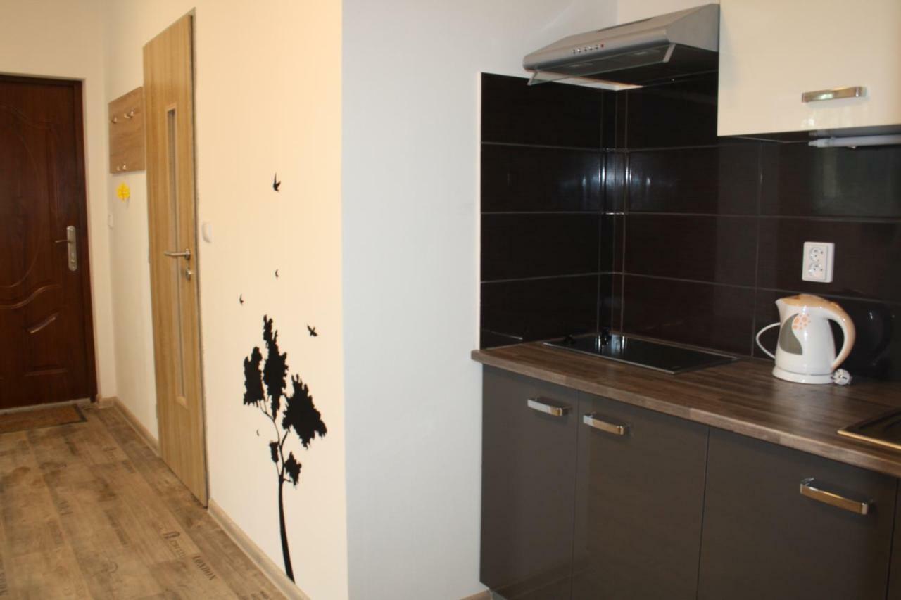 Apartmany City 俄斯特拉发 外观 照片